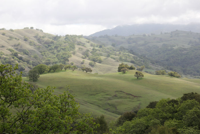 Mount Hamilton